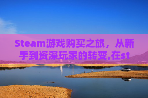 Steam游戏购买之旅，从新手到资深玩家的转变,在steam买的游戏怎么玩
