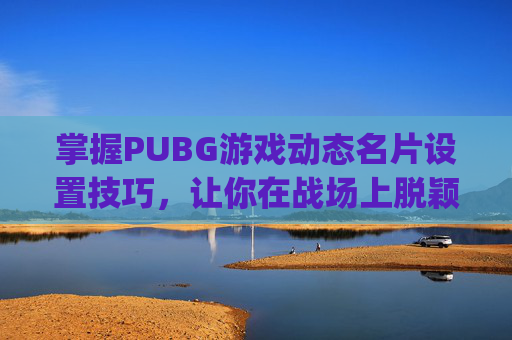 掌握PUBG游戏动态名片设置技巧，让你在战场上脱颖而出,pubg名片框背景设置步骤详解