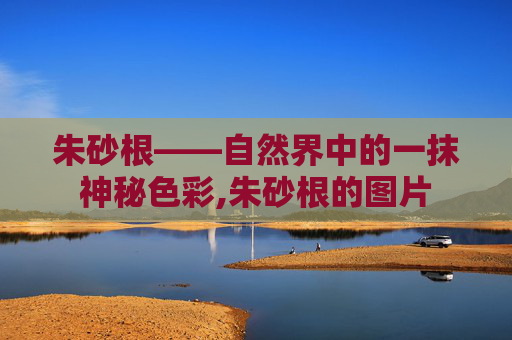 朱砂根——自然界中的一抹神秘色彩,朱砂根的图片