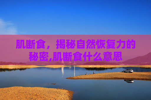 肌断食,揭秘自然恢复力的秘密,肌断食什么意思 肌断食,揭秘自然恢复力的秘密,肌断食什么意思