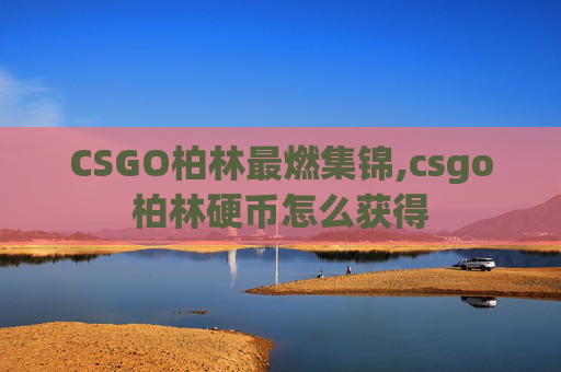 CSGO柏林最燃集锦,csgo柏林硬币怎么获得