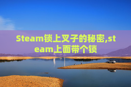 Steam锁上叉子的秘密,steam上面带个锁