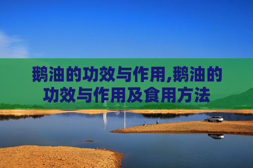 鹅油的功效与作用,鹅油的功效与作用及食用方法