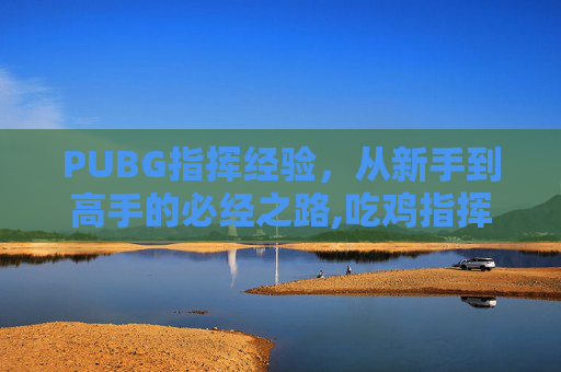 PUBG指挥经验，从新手到高手的必经之路,吃鸡指挥官前多少名能带出去