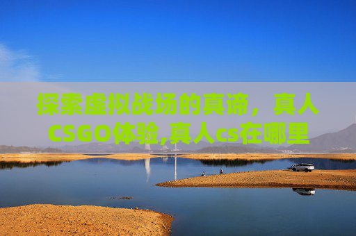 探索虚拟战场的真谛，真人CSGO体验,真人cs在哪里