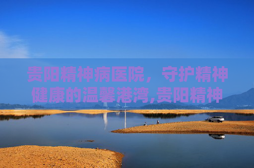 贵阳精神病医院，守护精神健康的温馨港湾,贵阳精神病医院有哪些