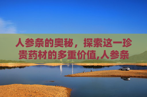 人参条的奥秘，探索这一珍贵药材的多重价值,人参条 豆制品