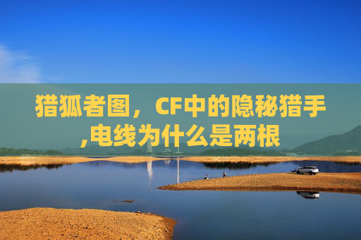 猎狐者图，CF中的隐秘猎手,电线为什么是两根