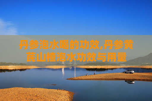 丹参泡水喝的功效,丹参黄芪山楂泡水功效与用量
