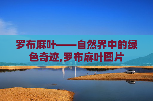 罗布麻叶——自然界中的绿色奇迹,罗布麻叶图片 罗布麻叶——自然界中的绿色奇迹,罗布麻叶图片