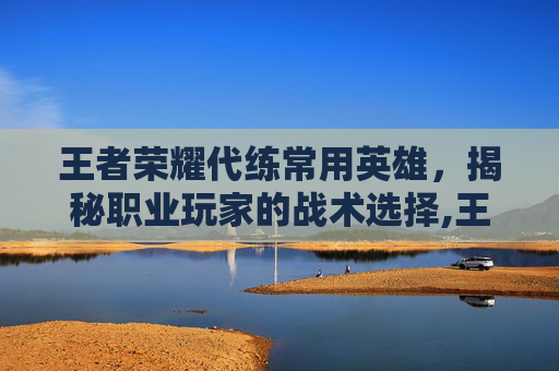 王者荣耀代练常用英雄,揭秘职业玩家的战术选择,王者荣耀代练常用英雄怎么获得 王者荣耀代练常用英雄,揭秘职业玩家的战术选择,王者荣耀代练常用英雄怎么获得