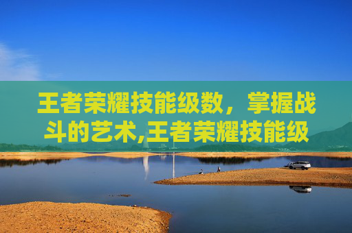 王者荣耀技能级数,掌握战斗的艺术,王者荣耀技能级数表 王者荣耀技能级数,掌握战斗的艺术,王者荣耀技能级数表