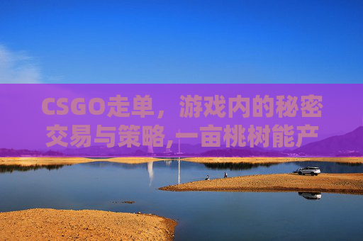 CSGO走单,游戏内的秘密交易与策略,一亩桃树能产多少桃胶 CSGO走单,游戏内的秘密交易与策略,一亩桃树能产多少桃胶
