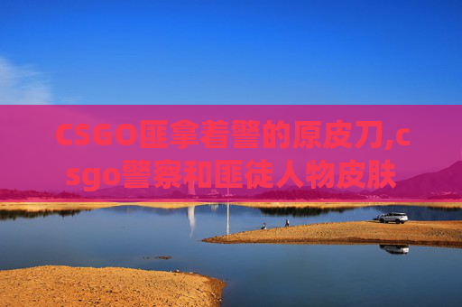 CSGO匪拿着警的原皮刀,csgo警察和匪徒人物皮肤 CSGO匪拿着警的原皮刀,csgo警察和匪徒人物皮肤