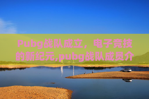 Pubg战队成立，电子竞技的新纪元,pubg战队成员介绍