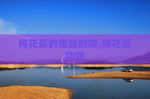 梅花茶的雅致韵味,梅花茶功效