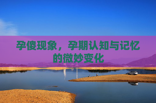 孕傻现象，孕期认知与记忆的微妙变化