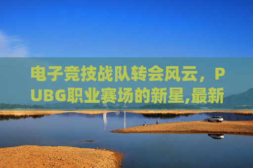 电子竞技战队转会风云，PUBG职业赛场的新星,最新pubg选手转会名单