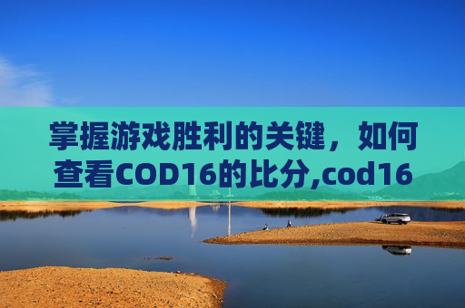 掌握游戏胜利的关键，如何查看COD16的比分,cod16怎么看自己kd