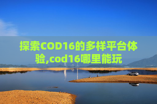 探索COD16的多样平台体验,cod16哪里能玩