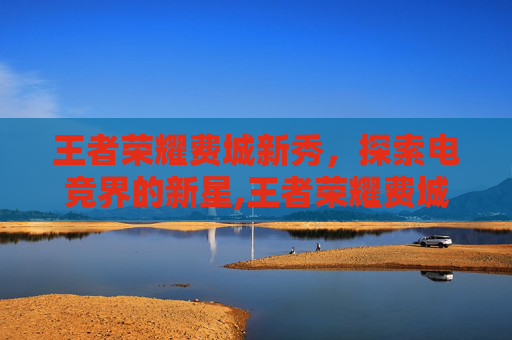 王者荣耀费城新秀，探索电竞界的新星,王者荣耀费城新秀怎么获得