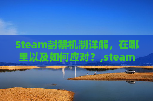 Steam封禁机制详解，在哪里以及如何应对？,steam封禁记录会存在多久