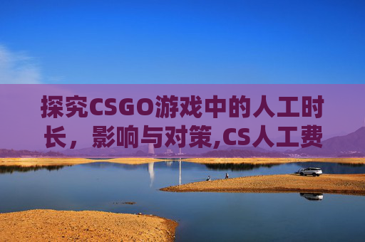 探究CSGO游戏中的人工时长，影响与对策,CS人工费用
