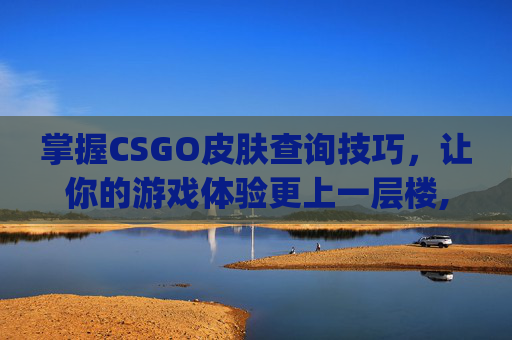 掌握CSGO皮肤查询技巧，让你的游戏体验更上一层楼,csgo皮肤查询网站