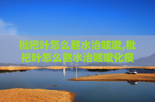 枇杷叶怎么熬水治咳嗽,枇杷叶怎么熬水治咳嗽化痰