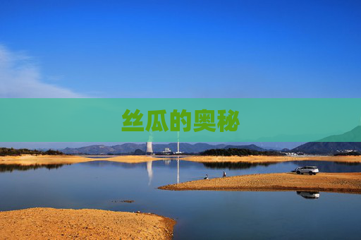 丝瓜的奥秘