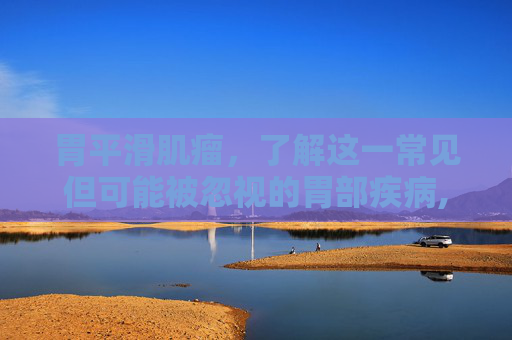 胃平滑肌瘤，了解这一常见但可能被忽视的胃部疾病,胃平滑肌瘤严重吗