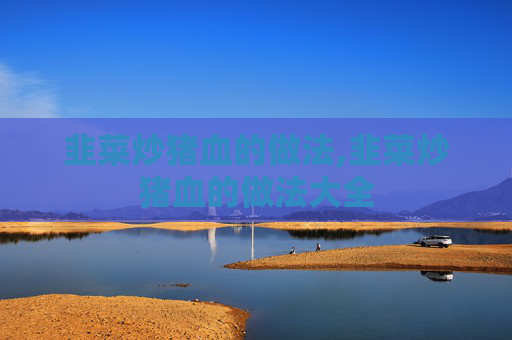 韭菜炒猪血的做法,韭菜炒猪血的做法大全