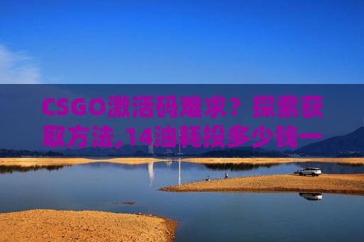 CSGO激活码难求？探索获取方法,14油耗投多少钱一公里
