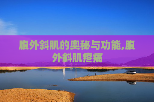 腹外斜肌的奥秘与功能,腹外斜肌疼痛