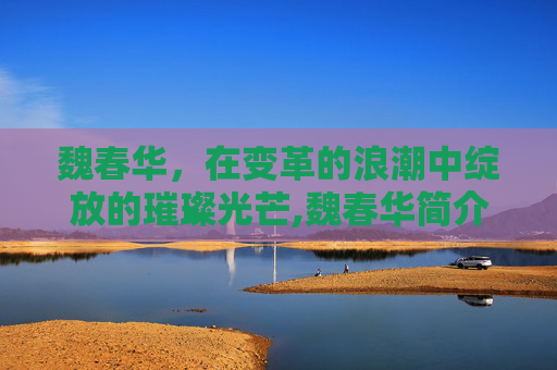 魏春华，在变革的浪潮中绽放的璀璨光芒,魏春华简介