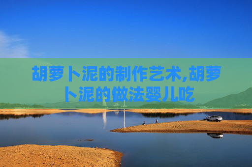 胡萝卜泥的制作艺术,胡萝卜泥的做法婴儿吃