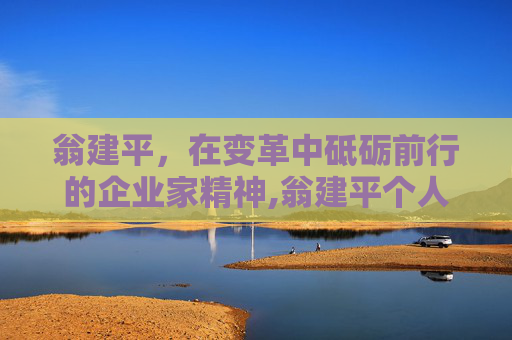 翁建平，在变革中砥砺前行的企业家精神,翁建平个人资料简介
