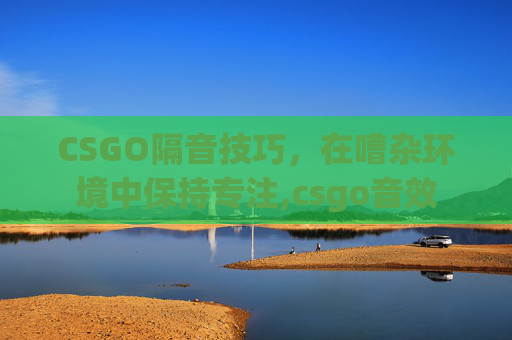 CSGO隔音技巧，在嘈杂环境中保持专注,csgo音效