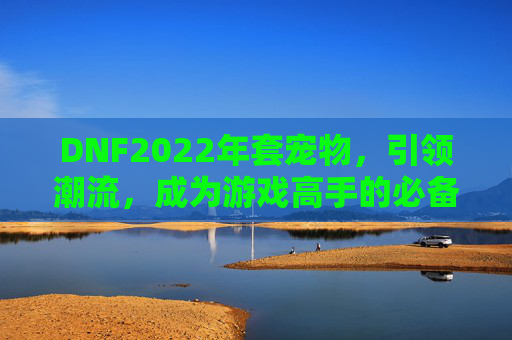 DNF2022年套宠物，引领潮流，成为游戏高手的必备之选,dnf2020宠物
