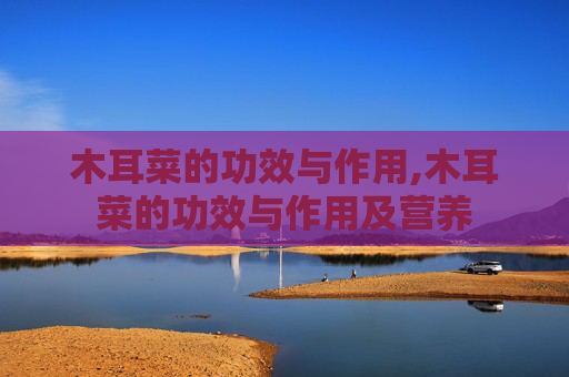 木耳菜的功效与作用,木耳菜的功效与作用及营养