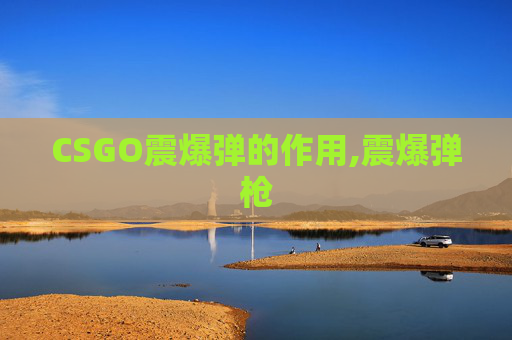 CSGO震爆弹的作用,震爆弹枪
