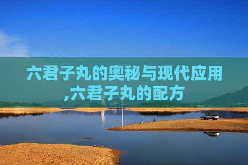 六君子丸的奥秘与现代应用,六君子丸的配方
