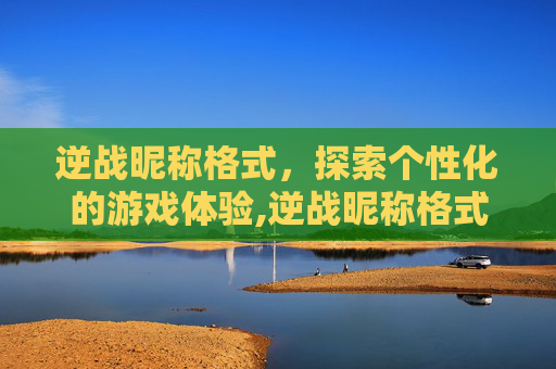 逆战昵称格式，探索个性化的游戏体验,逆战昵称格式怎么设置