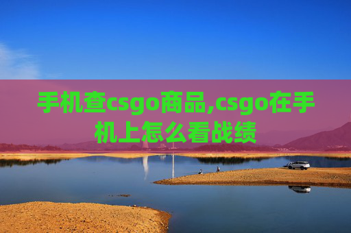 手机查csgo商品,csgo在手机上怎么看战绩
