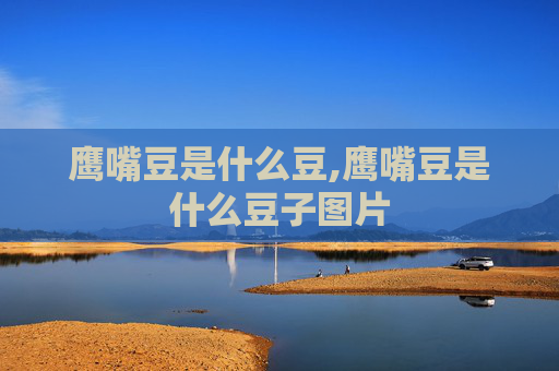 鹰嘴豆是什么豆,鹰嘴豆是什么豆子图片 鹰嘴豆是什么豆,鹰嘴豆是什么豆子图片