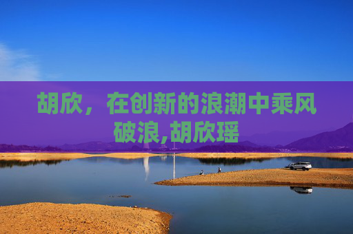 胡欣,在创新的浪潮中乘风破浪,胡欣瑶 胡欣,在创新的浪潮中乘风破浪,胡欣瑶