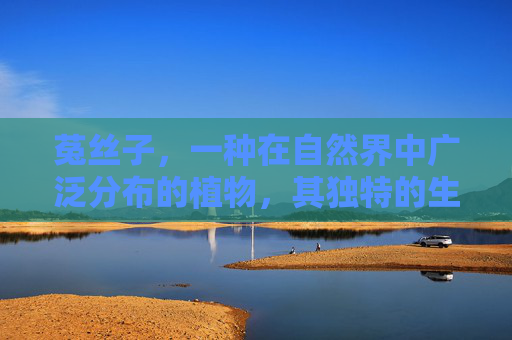 菟丝子，一种在自然界中广泛分布的植物，其独特的生长方式和丰富的药用价值使其成为中草药宝库中的一员。本文将深入探讨菟丝子的药理作用与功效，以及其在现代医学中的应用潜力。,巴戟天配菟丝子作用与功效