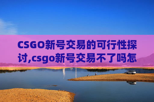 CSGO新号交易的可行性探讨,csgo新号交易不了吗怎么办 CSGO新号交易的可行性探讨,csgo新号交易不了吗怎么办