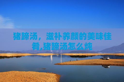 猪蹄汤，滋补养颜的美味佳肴,猪蹄汤怎么炖