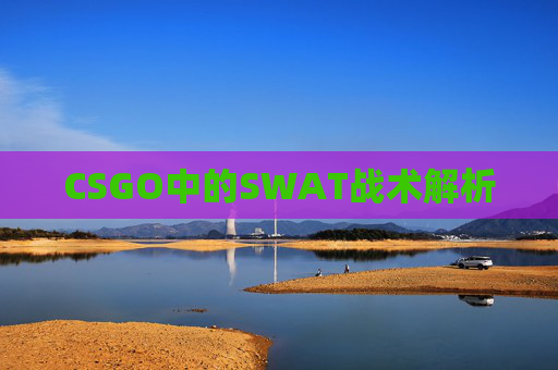 CSGO中的SWAT战术解析